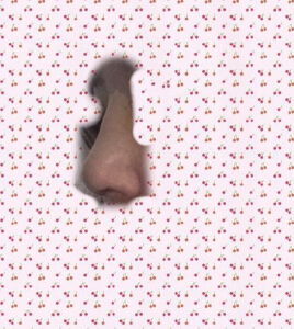 北京八大处王克明医生做的鼻部手术手术