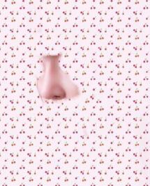 北京八大处王克明医生做的鼻部手术手术