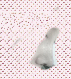 重庆时光陈玉莲的膨体+鼻中隔耳软骨+鼻小柱