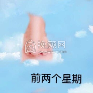 长沙新发现王先成硅胶鼻部手术