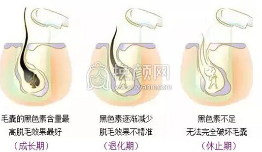 春暖花开,雅美脱毛18元限时抢!