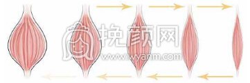 打注射瘦脸需要多少钱一支?