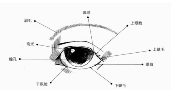 想割双眼皮,我需要要开眼角吗?