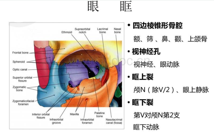 想割双眼皮,我需要要开眼角吗?