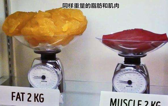 吸脂是否真的可以做到直角腰,筷子腿?