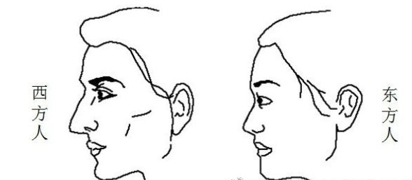 如何改良鼻基底凹陷?【鼻基底知识】