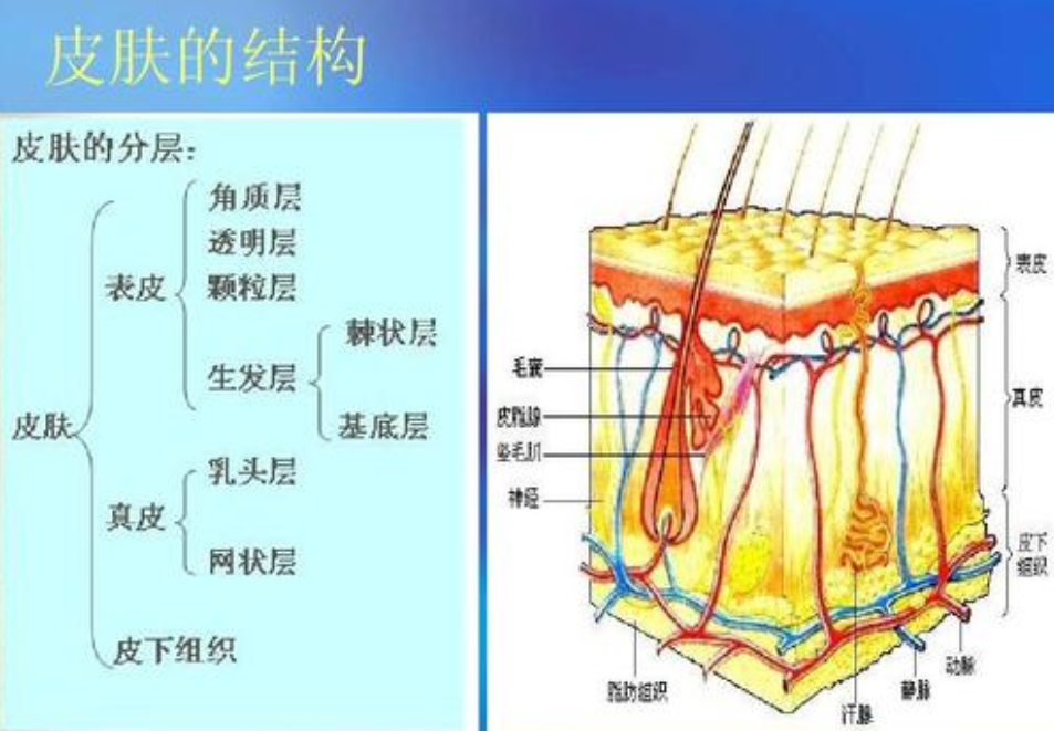北京欧华整形医院激光美容怎么样?