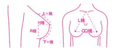 别在为胸小自卑了,也许你的乳房刚刚好呢?