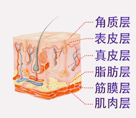 小切口拉皮除皱果怎么样？
